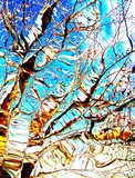 by Cathy Enthof