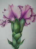 by Lisa Luchia Stocks