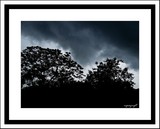 by upagupt mohanty
