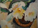 by Lianne Juster