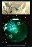 by Coco Tse