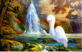 by Marcia Wilson
