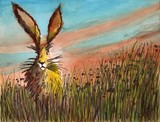 by Chris Cox