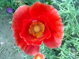 by Vaibhav N