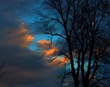 by Tony Weatherman