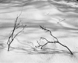 by Gary Nylander