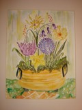 by Jacqueline Coote