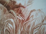 by Gergana Bojikova-Dimova