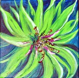 by Deana Harvey