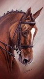 by lisa muir