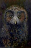 by kim stanbridge