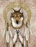 by Heather Luterman