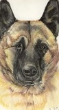 by Angela Mingledorff