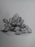 by Padmavathy Ragavendran