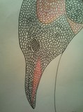by silvia massaiu