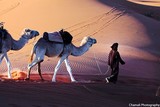 by Mohammed CHAMALI