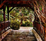 by Wendy Allen