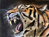 by Christopher Evans