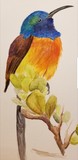 by Melanie  Smith