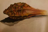 by Chelsey Carter