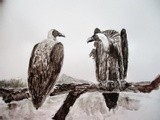by Abhishek Rammohan