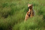 by Harry Eggens