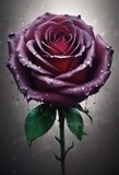 by Mihaela B