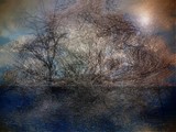 by Charles Oliver