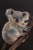 by Tonia Osborn