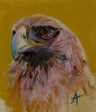 by Angie Owens