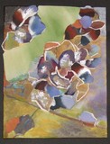 by nancy lissaman