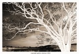 by Jamie Frattarelli