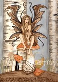 by Carol Ochs