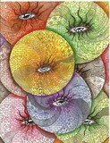 by Teri McGee