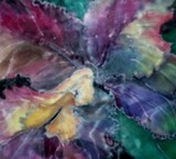 by Tanya Antimirova