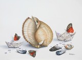 by Thomai Kontou