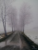 by Peter Winberg
