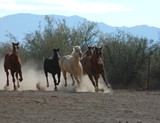 by CowGirlZen Artworks