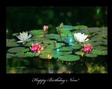 by DEE JOBES PHOTOGRAPHY