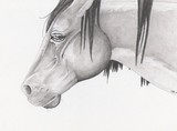 by MaKayla Songer