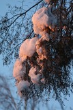 by Pamela Tweton