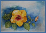 by Ingrid Kolster
