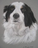by Joanne Simpson-Connor