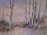 by Malcolm Coils