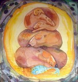 by Donna Zawadzka