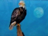 by lisandro rodriguez