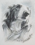 by Barbara Keith