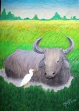 by Nilantha Lokunarangode
