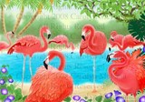 by Carolyn McFann