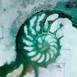 by Kathy Morton-Stanion